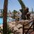 Coral Hills Resort , Sharm el Sheikh, Red Sea, Egypt - Image 5