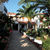 Family Inn Hotel , Argassi, Zante, Greek Islands - Image 4