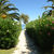 Elea Beach Hotel , Dassia, Corfu, Greek Islands - Image 8