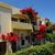 Malia Studios Aparthotel , Malia, Crete, Greek Islands - Image 1