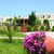 Gaia Royal Hotel , Mastichari, Kos, Greek Islands - Image 12