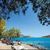 Olive Grove Apartments , Elounda, Crete, Greek Islands - Image 3