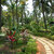 Alagoa Resort , South Goa, Goa, India - Image 4
