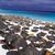 Koox Caribbean Paradise Hotel , Playa del Carmen, Mexico Caribbean Coast, Mexico - Image 1