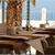 Rocamar Beach Hotel & Spa , Albufeira, Algarve, Portugal - Image 11
