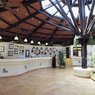 Hotetur Club Bellevue in Alcudia, Majorca, Balearic Islands