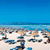 Iberostar Alcudia Park , Playa de Muro, Majorca, Balearic Islands - Image 9