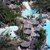 Hotel IFA Continental , Playa del Ingles, Gran Canaria, Canary Islands - Image 10